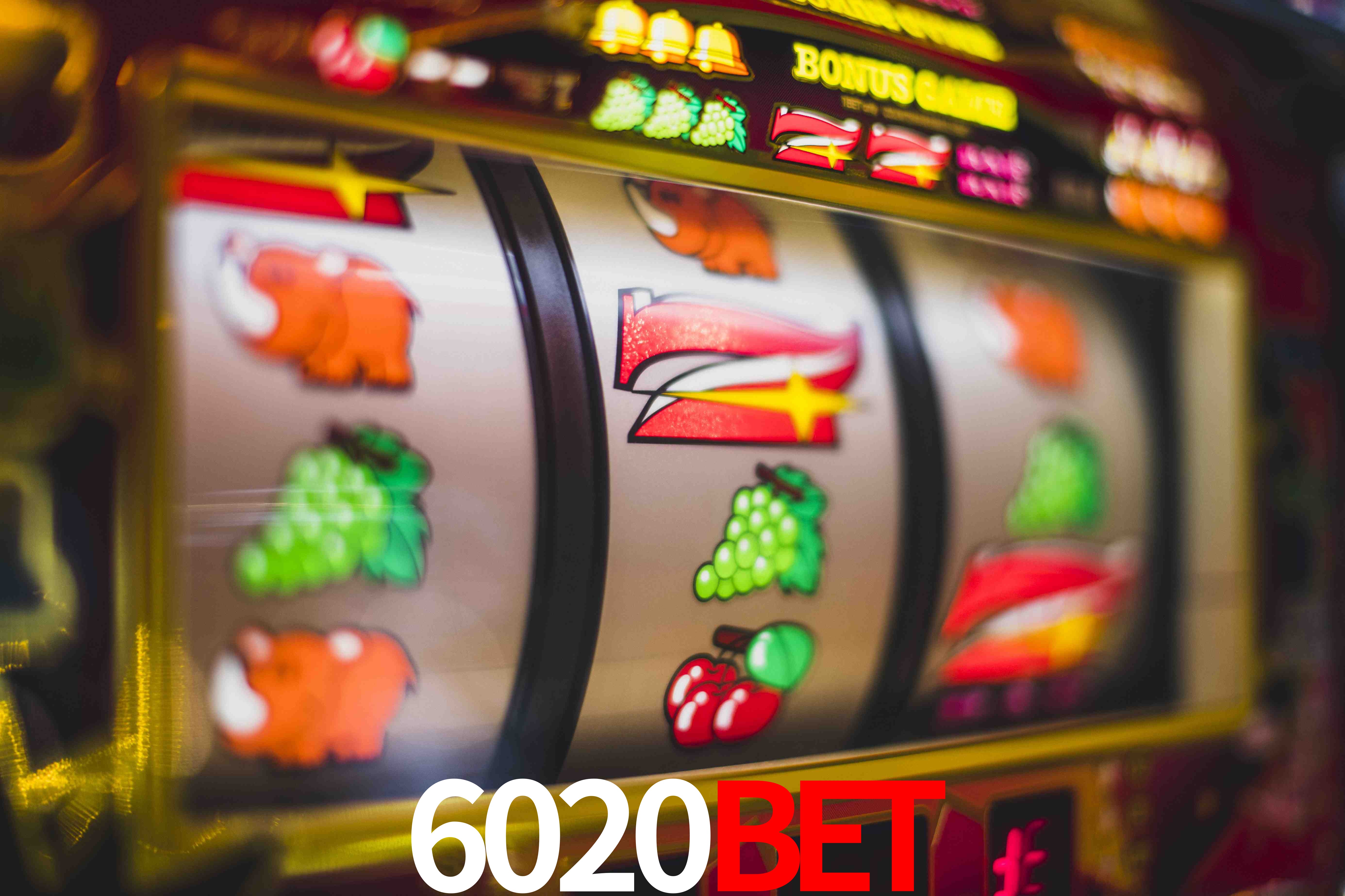VIP Casino 6020bet